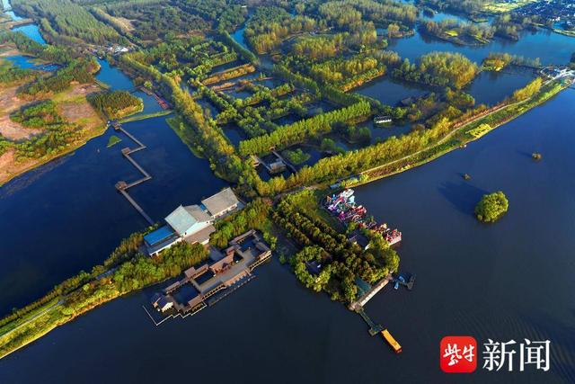 【图集】大美江苏！穿越森林秘境，漫步郊野公园，沉浸式感受"绿色动脉"