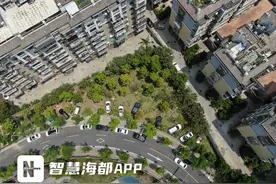 福州一街头绿化带“变身”停车场，园林中心：将协调处理图片