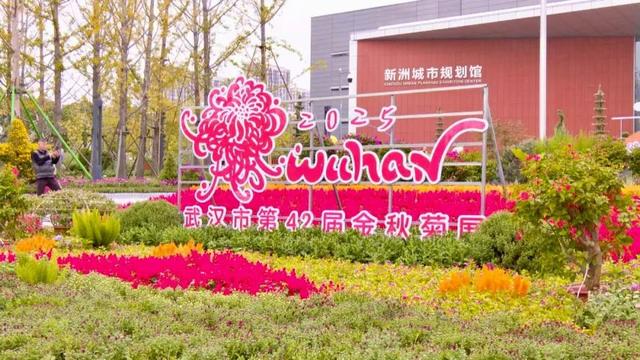 走进新洲的花园，生活充满“小确幸”~