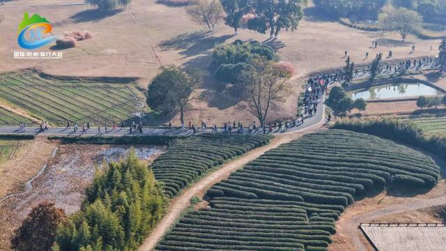 万人齐聚，三线并进！余杭这场冬日盛宴太过瘾！