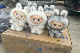 实探衡水盗版LABUBU大集：像卖菜一样摆摊兜售，最便宜的七八元，商家称订单变少生意难做；当地市监局回应图片