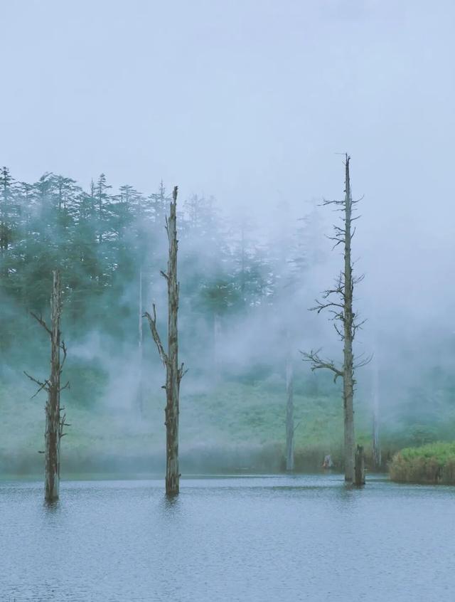 雨天瓦屋带点雾，恰似神仙在这住！