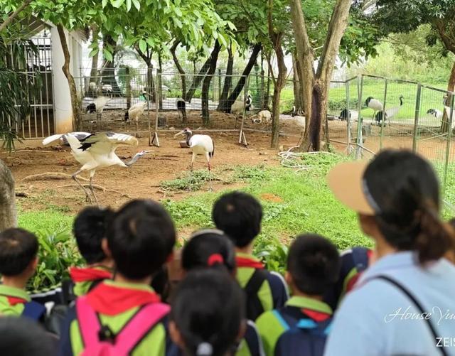 暑假遛娃新姿势！星湖暑期亲子研学盛宴：仙鹤、萌宠、虫趣全解锁～