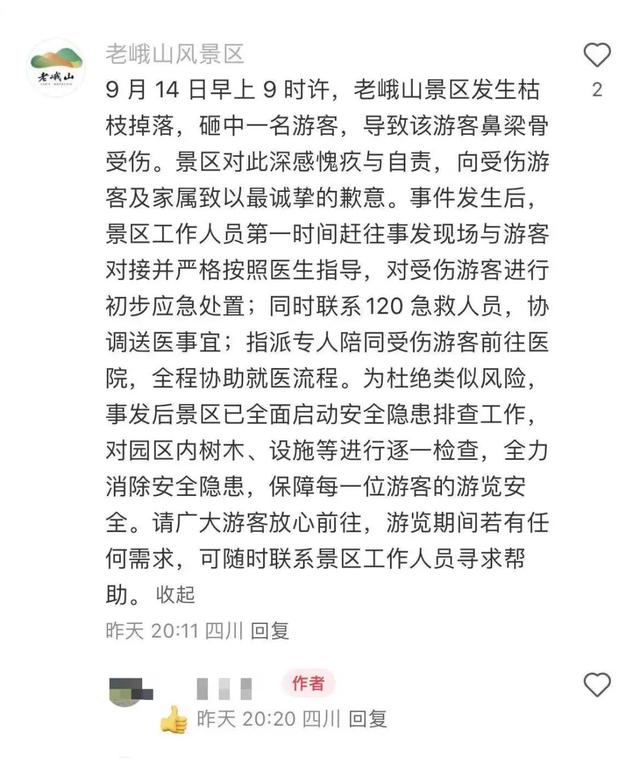游客在老峨山游玩时被掉落的枯树枝砸中致鼻梁骨受伤，景区回应