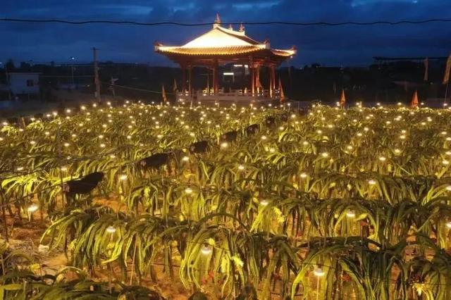 《闽风山海》之游在翔安 | 到翔安，上山下海入乡间！