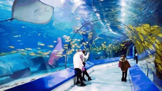 今天过节！这些景区对老年人有优惠、免票政策