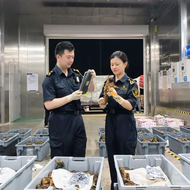 青年突击队奋战鄂州花湖国际机场纪实