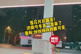 果然视频|雪花纷飞！济南今冬第一雪来了！壹粉:飘飘洒洒挺浪漫图片
