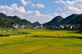 盘州：河道治理 扮靓水美乡村图片