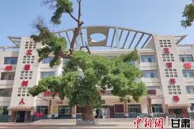 张掖古树名木“驻颜有术”图片