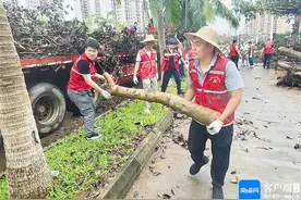 海口：美好家园正加快回归图片
