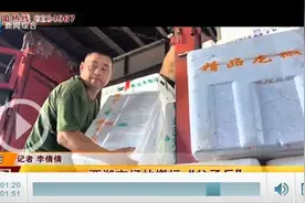 【高温下的劳动者】两湖市场的搬运“父子兵”图片