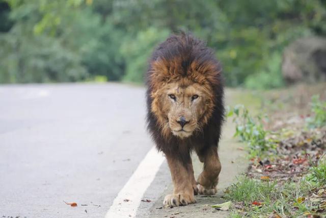 亲~~免费游乐和乐都的机会来了！