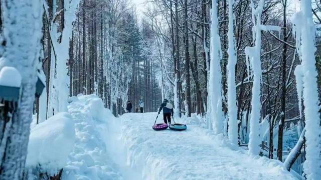 在嵩县找到了现实版「冰雪奇缘」！美到失语的白云山冬日