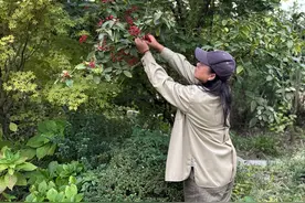 【你的样子】陈美琴：在乡村造一个花园，垦一片希望的田野图片