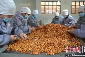 敦煌兴起“乡味经济”：传统老手艺变身“新国潮”图片