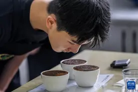 全国首个咖啡本科专业，知识点都带着“拿铁香”？图片