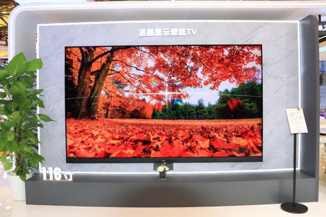DIC2025：BOE（京东方）、HKC惠科、维信诺、天马微电子等展示车载显示、OLED、Mini/Micro LED等