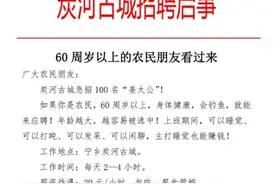 湖南一景区发布“神仙岗位” 招聘60岁以上农民老人“带薪钓鱼”图片