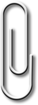 万鸟齐舞！北京这里成“候鸟天堂”，还有专属礼遇——