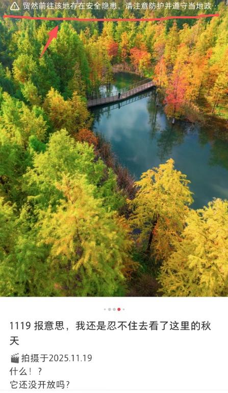 上海有个超美的新公园，未开先火！有人偷偷爬进去、溜进去、翻进去……太危险！