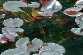 今日小满！这份“国家版”养生指南请收好→图片