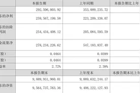 岩山科技：2023年上半年净利润2.60亿元 同比增长16.29%图片
