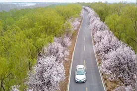 2025济南马拉松火热来袭！报名成功竟然还能免费游览这么多景区！图片