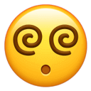 这个小盒子里的化石材料，产生了非常多举世瞩目的成果	，有十几篇顶刊文章｜卢静 一席少年第36位讲者