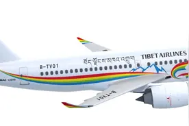 安排！国产大飞机新机型要来了图片