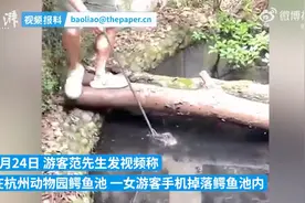 杭州动物园一男子跳入鳄鱼池帮女游客捡手机，目击者称鳄鱼突然冲过来，园方：他是员工未受伤，场馆正常开放图片