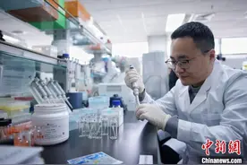 中国科学家将“有害离子”变废为宝 催化药物分子合成图片