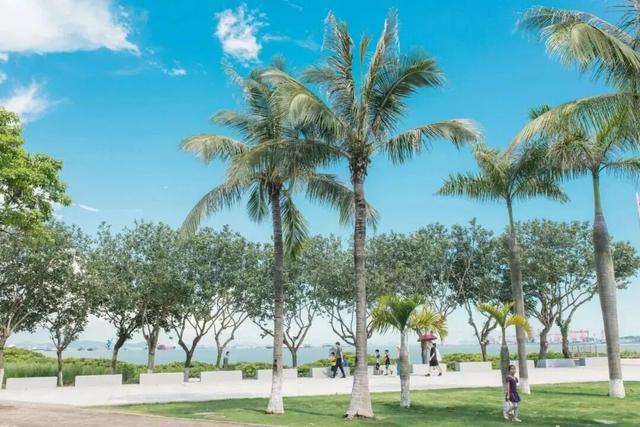 来南沙看五月天！看海、骑行……100+网红打卡点合集→