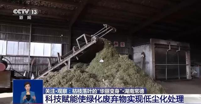 央视关注青岛：落叶“艺术变身”成公园景观和设施