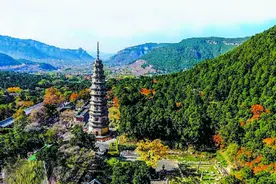 “鲁豫有约”——坐上济郑高铁去探宝图片