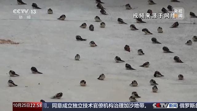 多地气温骤降 今年的秋天去哪儿了