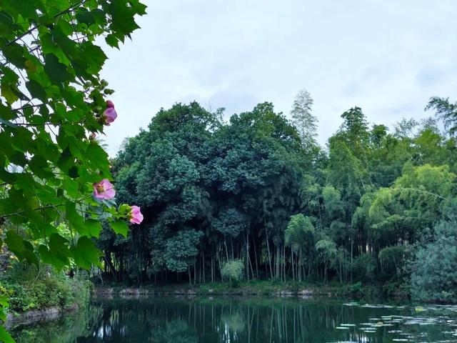 大武汉一日 | 武汉这个博物馆，有了新玩法