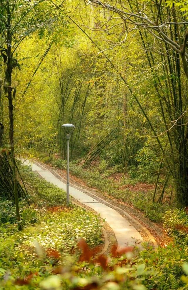 山的那边真的是海吗？为了探求真相，我决定周末就出发……