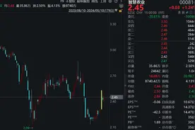 引国资战投遭质疑，最新回应：协议比黄金还真！图片