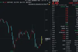 引国资战投遭质疑，最新回应：协议比黄金还真！图片