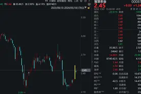 引国资战投遭质疑，最新回应：协议比黄金还真！图片