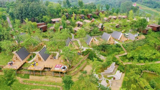 免费大放送，100间熊猫家园主题民宿酒店房间来袭