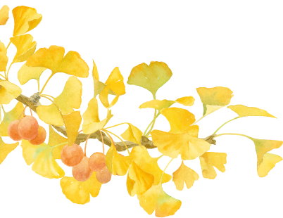 金灿灿！宜都限定美景上线！