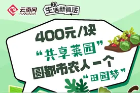 【生活新算法】400元/块“共享菜园” 圆都市农人一个“田园梦”图片