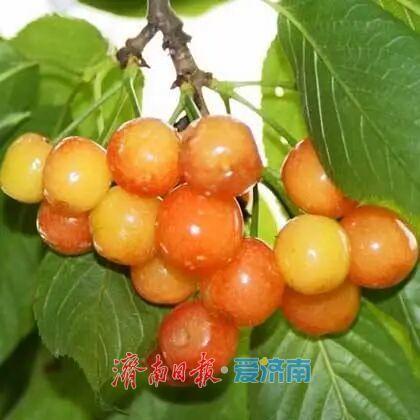 趣撒野，拾童心！这份六一儿童节亲子出游企划请收好