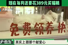 女子免费领养猫咪却深陷“猫贷”纠纷，网友破防：我也背负3年“猫贷”图片