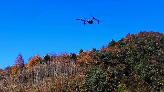 鹤峰：寒日寻秋 一眼尽染
