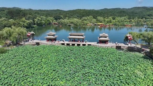 新华视点｜多元文旅绘就暑期画卷 夏日经济点燃消费热潮