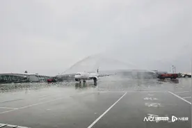 刚刚，国产大飞机C919落地广州！水门仪式迎接！图片