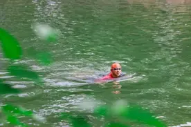 张朝阳直播游泳，备战9月15日“跨海行动”图片